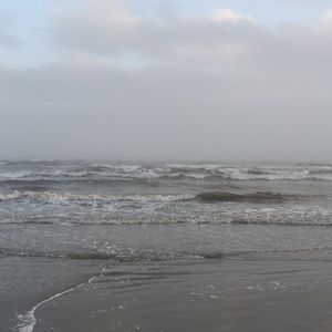 Meet your Posher, Genesis